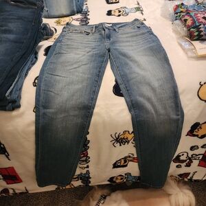 Stylish Women's Straight Leg Jeans in Blue